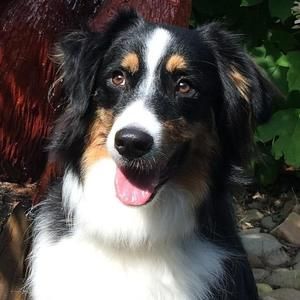 Meet your Posher, Rick